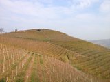 Piemont 2012 141.JPG