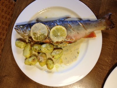 Foto 4.JPG