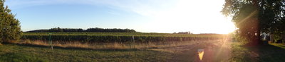 DSC01261.JPG