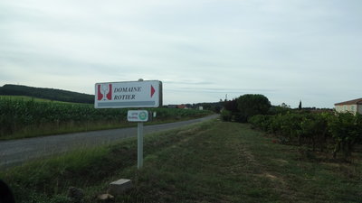 DSC01294.JPG