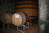 Poliziano Barriques.jpg (116.83 KiB) 14007 mal betrachtet Barriques