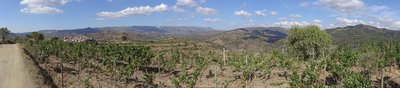 DSC01615b.jpg