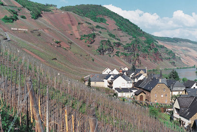 5 Mosel - Ürziger Würzgarten _spicegarden.jpg