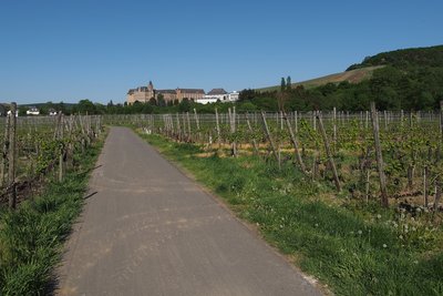 1 Walporzheim Himmelchen Kloster Calvarienberg.JPG