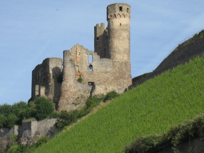 8 Rheingau - Burgruine Ehrenfels Berg Schloßberg.JPG