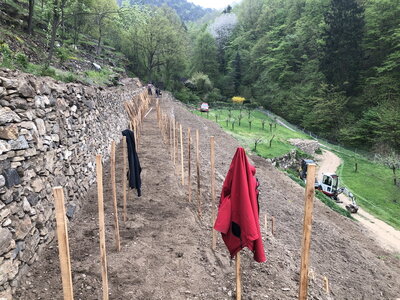 2021-2.JPG (309.1 KiB) 4300 mal betrachtet April 2021