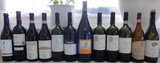 DSC03066 - Kopie - Kopie.jpg