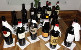 DSC02084 - Kopie.jpg