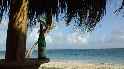 20170204_132454.jpg