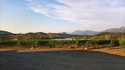 WP_20180821_18_40_15_Pro.jpg (4.55 MiB) 3484 mal betrachtet Niellucciu