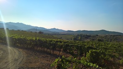 WP_20180821_18_41_04_Pro.jpg (4.53 MiB) 3484 mal betrachtet Domaine Santamaria