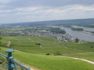 7 Rheingau - Drachenstein.JPG