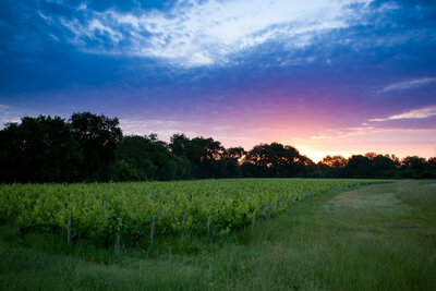 210607-1151_Condissas bas-3.JPG (590.89 KiB) 2230 mal betrachtet heute Morgen