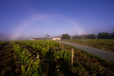 240605-1297_Frühnebel-10.JPG