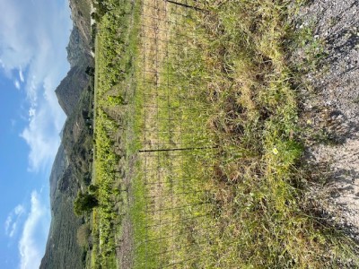 IMG_2193.jpg (234.7 KiB) 2589 mal betrachtet IMG_2193.jpg