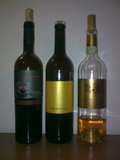 Bild0162.jpg